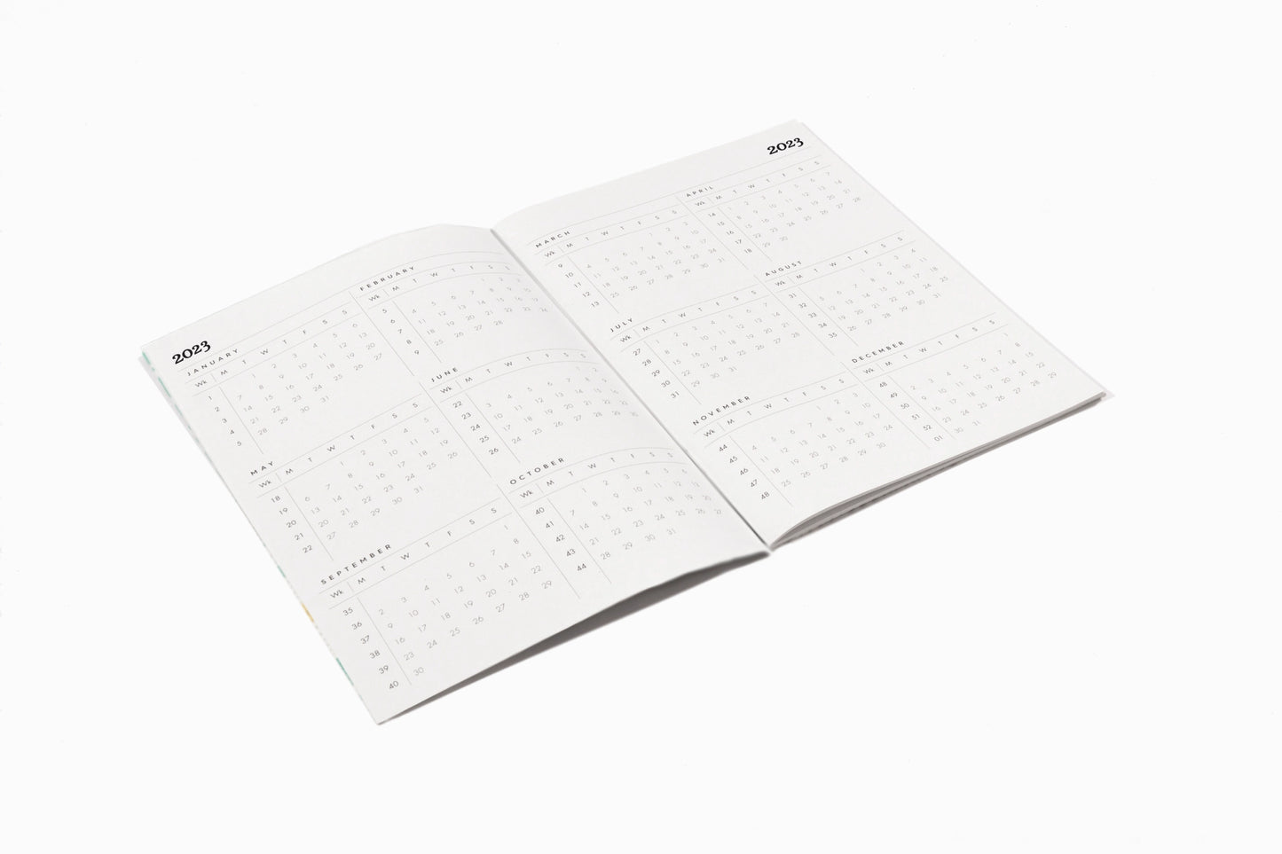 2024 A5 Diary + Folder - Dandelion
