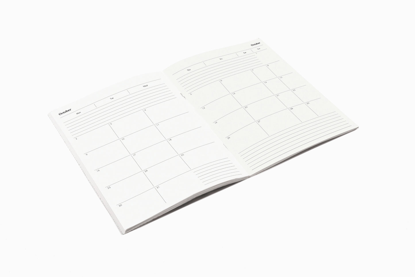 2024 A5 Diary + Folder - Dandelion