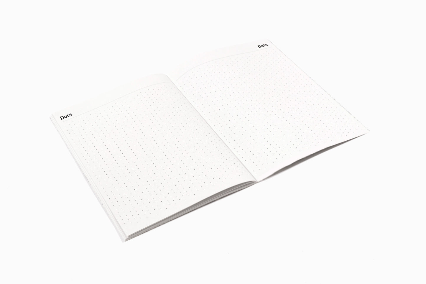 2024 A5 Diary + Folder - Dandelion