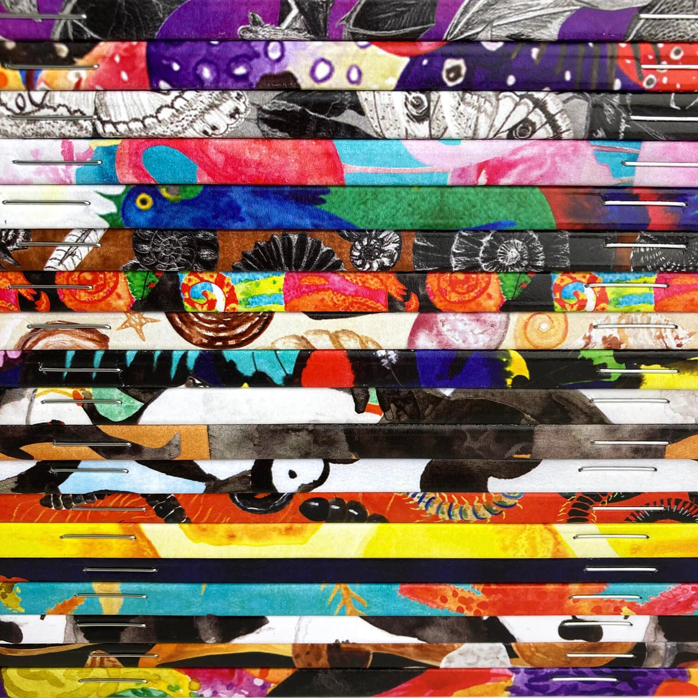 Ammonoidea Fossil Print A5 Journal - Lined