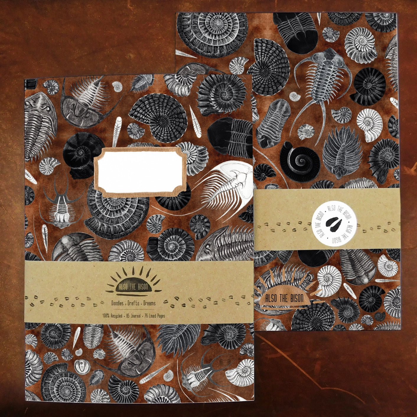 Ammonoidea Fossil Print A5 Journal - Lined