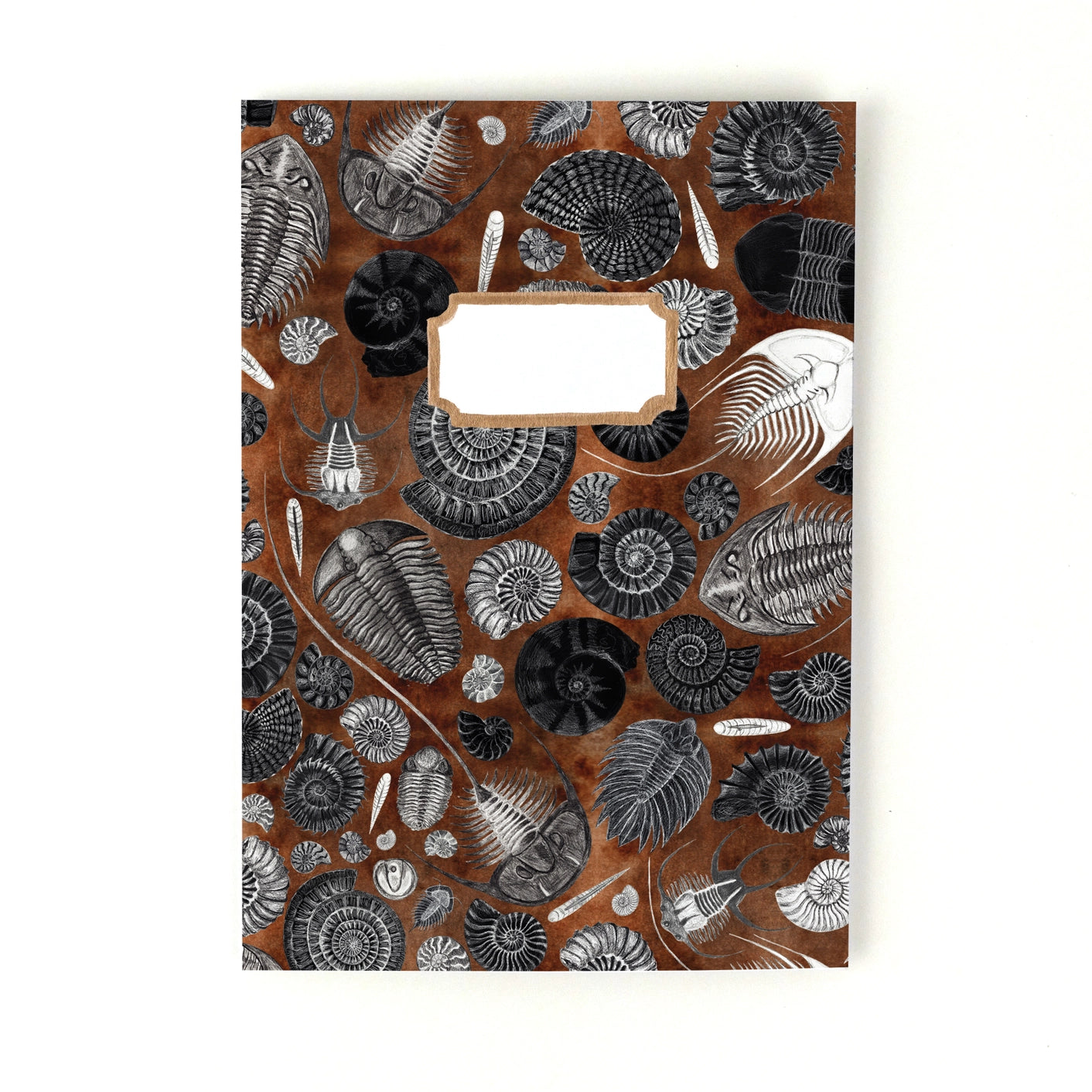 Ammonoidea Fossil Print A5 Journal - Lined