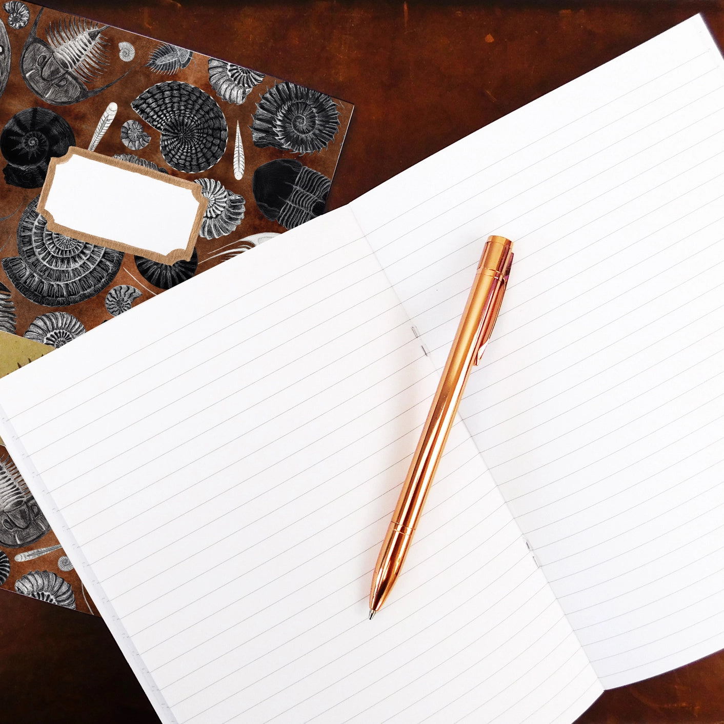 Ammonoidea Fossil Print A5 Journal - Lined