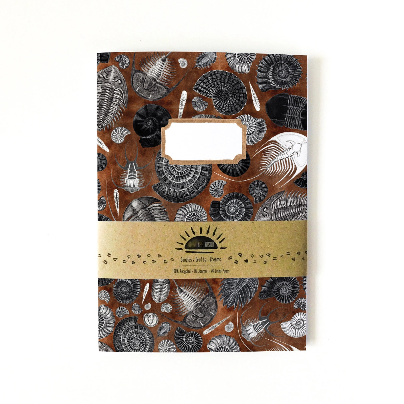 Ammonoidea Fossil Print A5 Journal - Lined