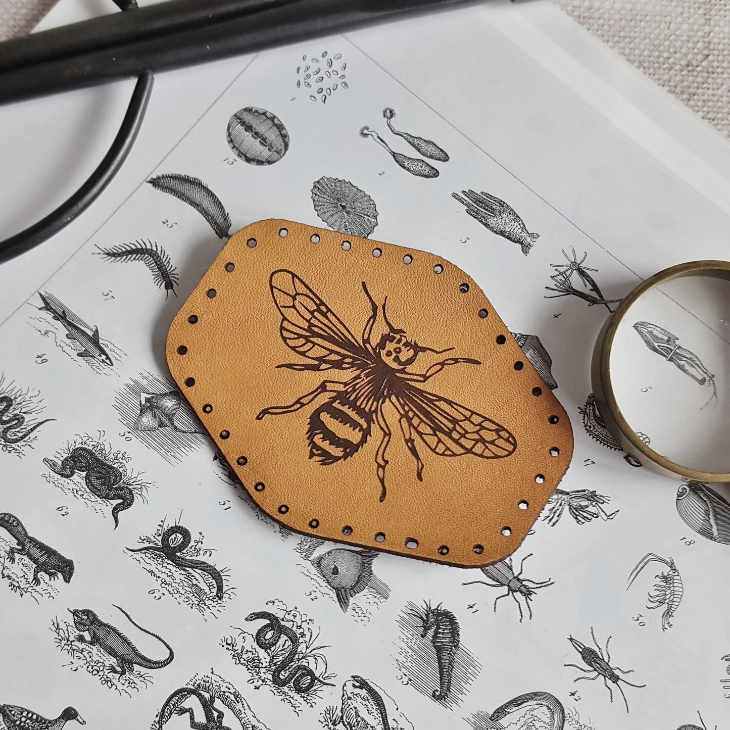 Bee Patch