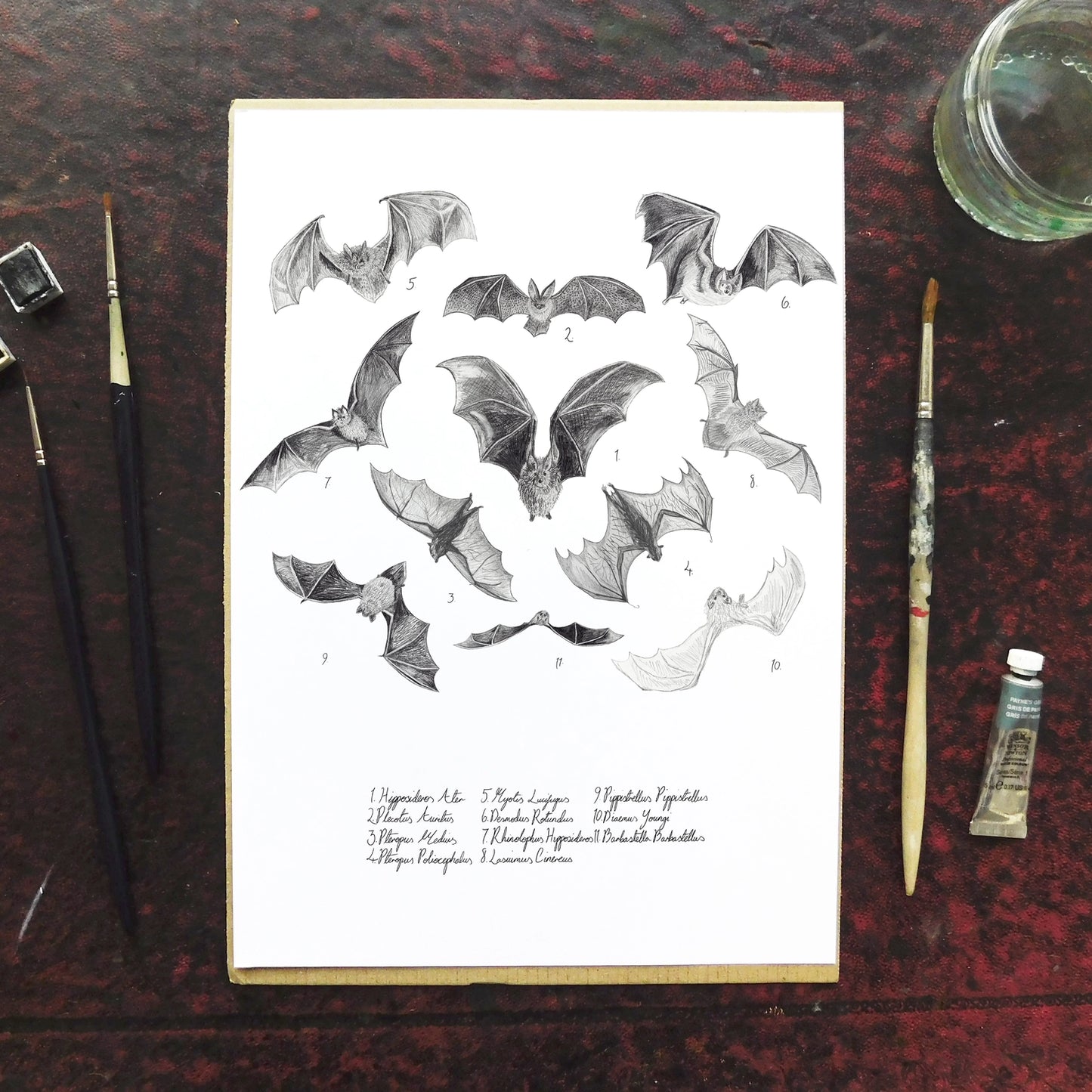 Print Celf A4 Glöyn Byw Lepidoptera