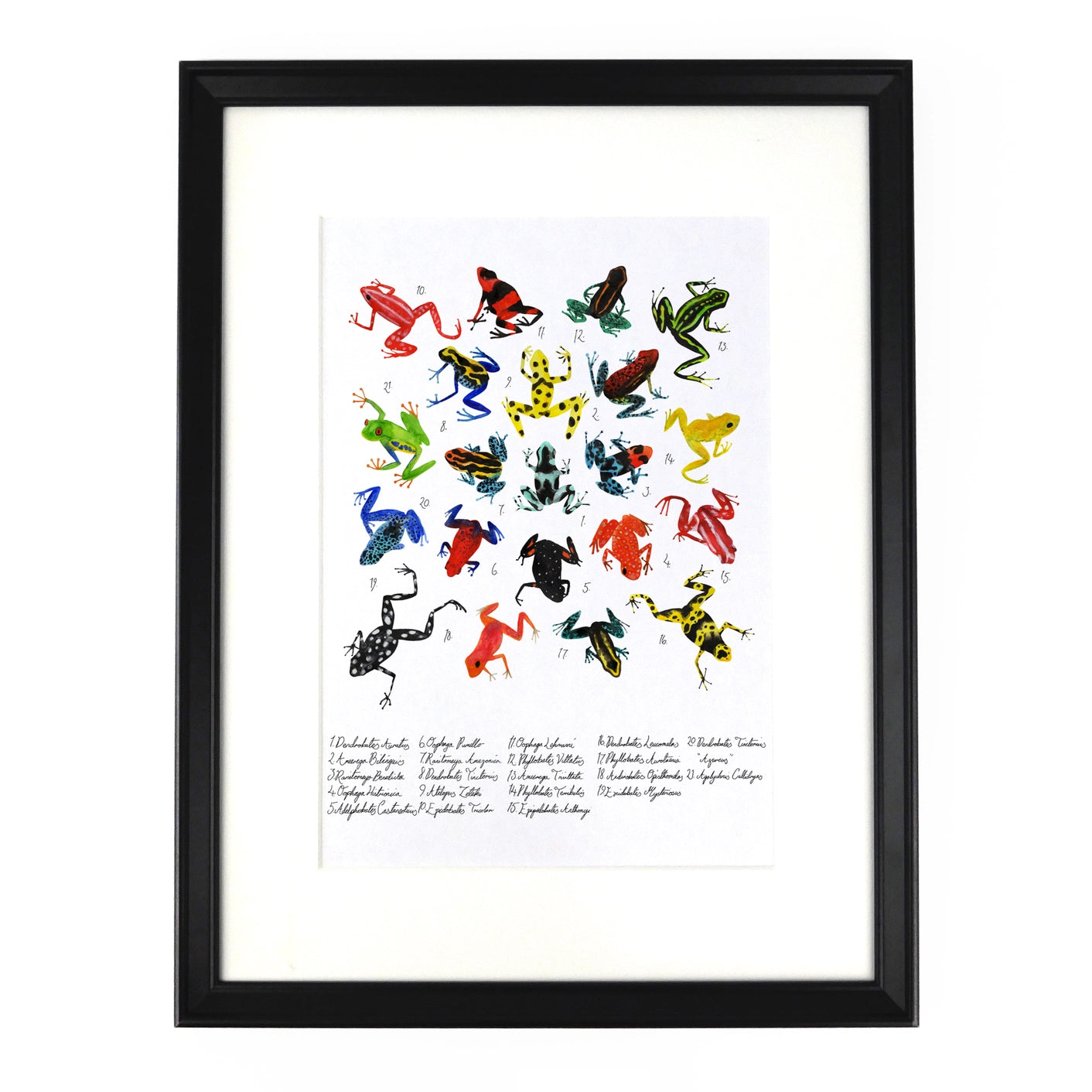 Dendrobatidae Broga Dart A4 Argraffu Celf