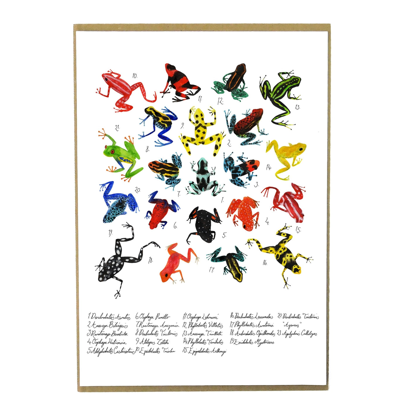 Dendrobatidae Broga Dart A4 Argraffu Celf