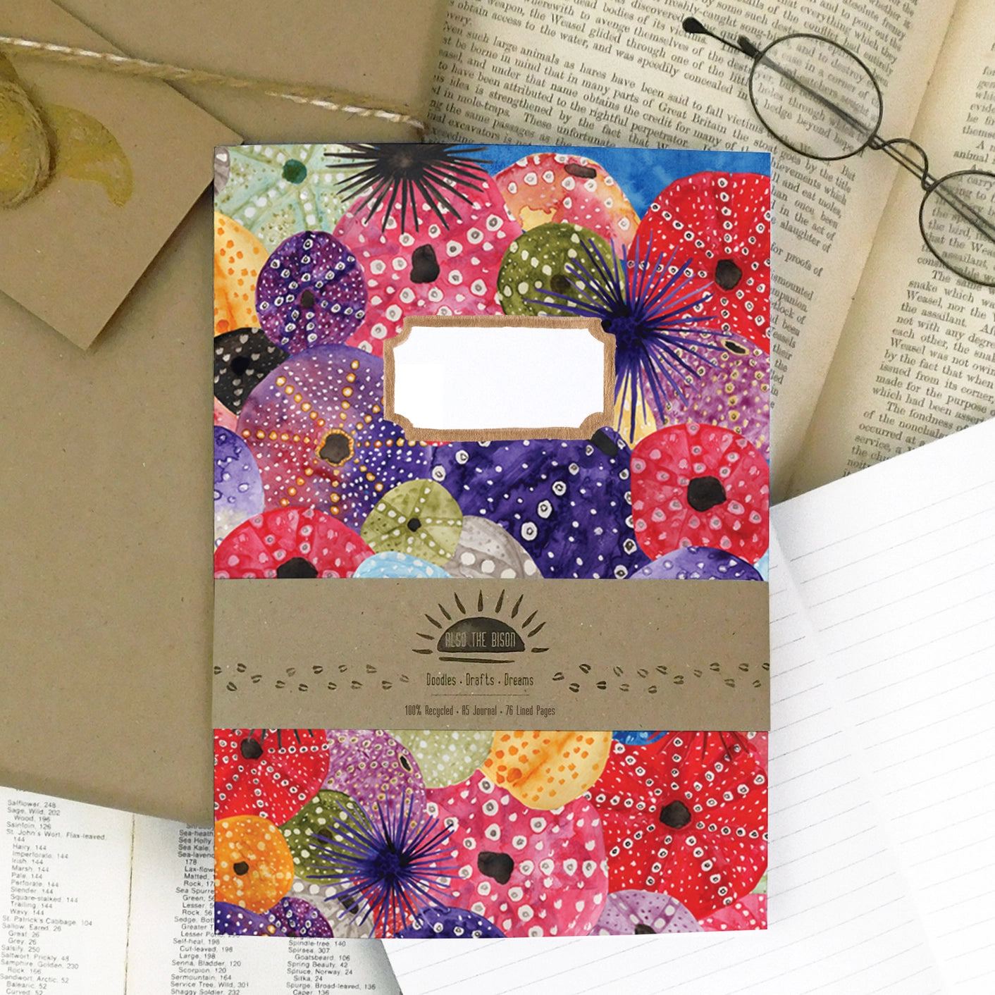 Echinozoa Sea Urchin Print A5 Journal - Lined