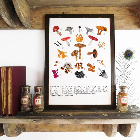 Ffyngau Argraffu Celf A4