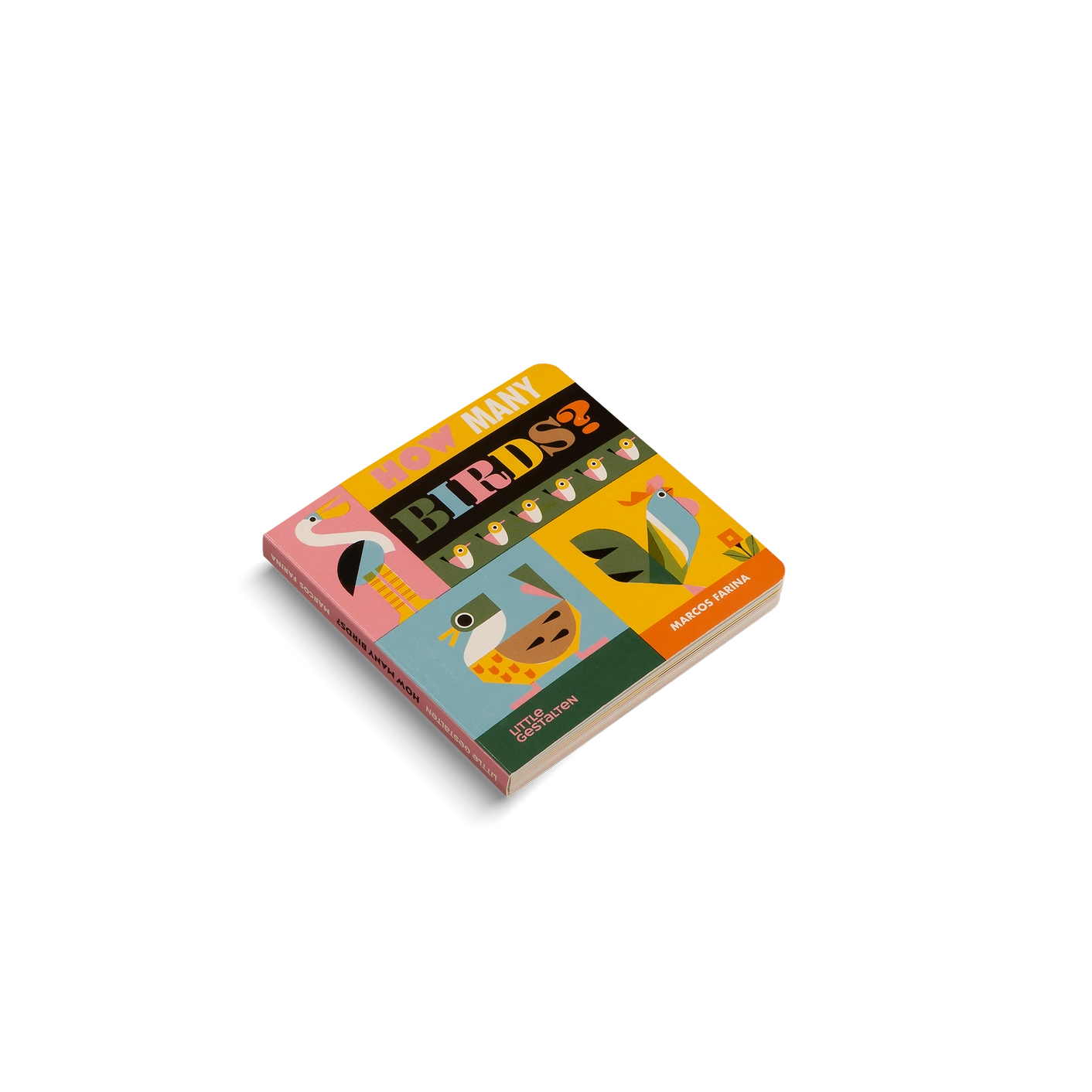 How Many Birds - Marcos Farina - Loola Loves UK