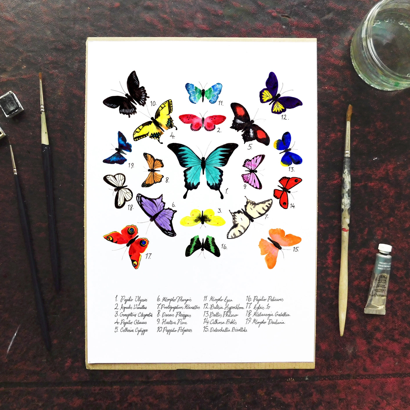 Print Celf A4 Glöyn Byw Lepidoptera