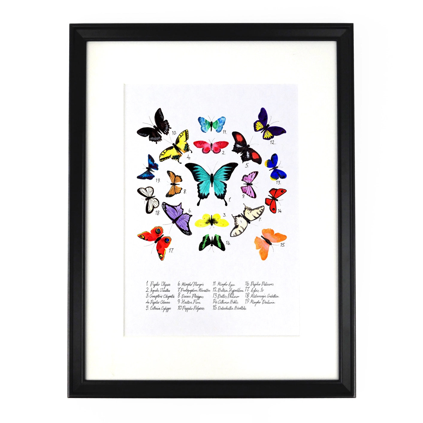 Print Celf A4 Glöyn Byw Lepidoptera