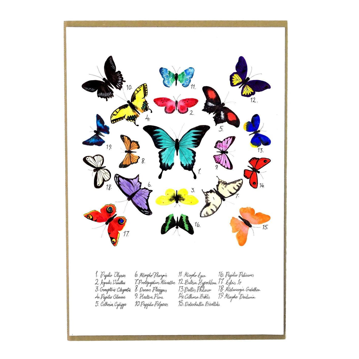 Print Celf A4 Glöyn Byw Lepidoptera