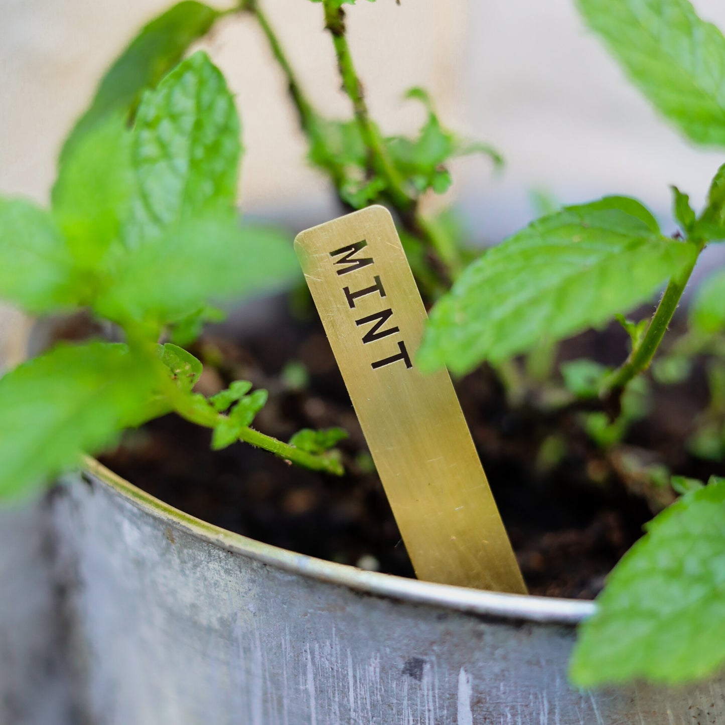 Brass Herb Markers