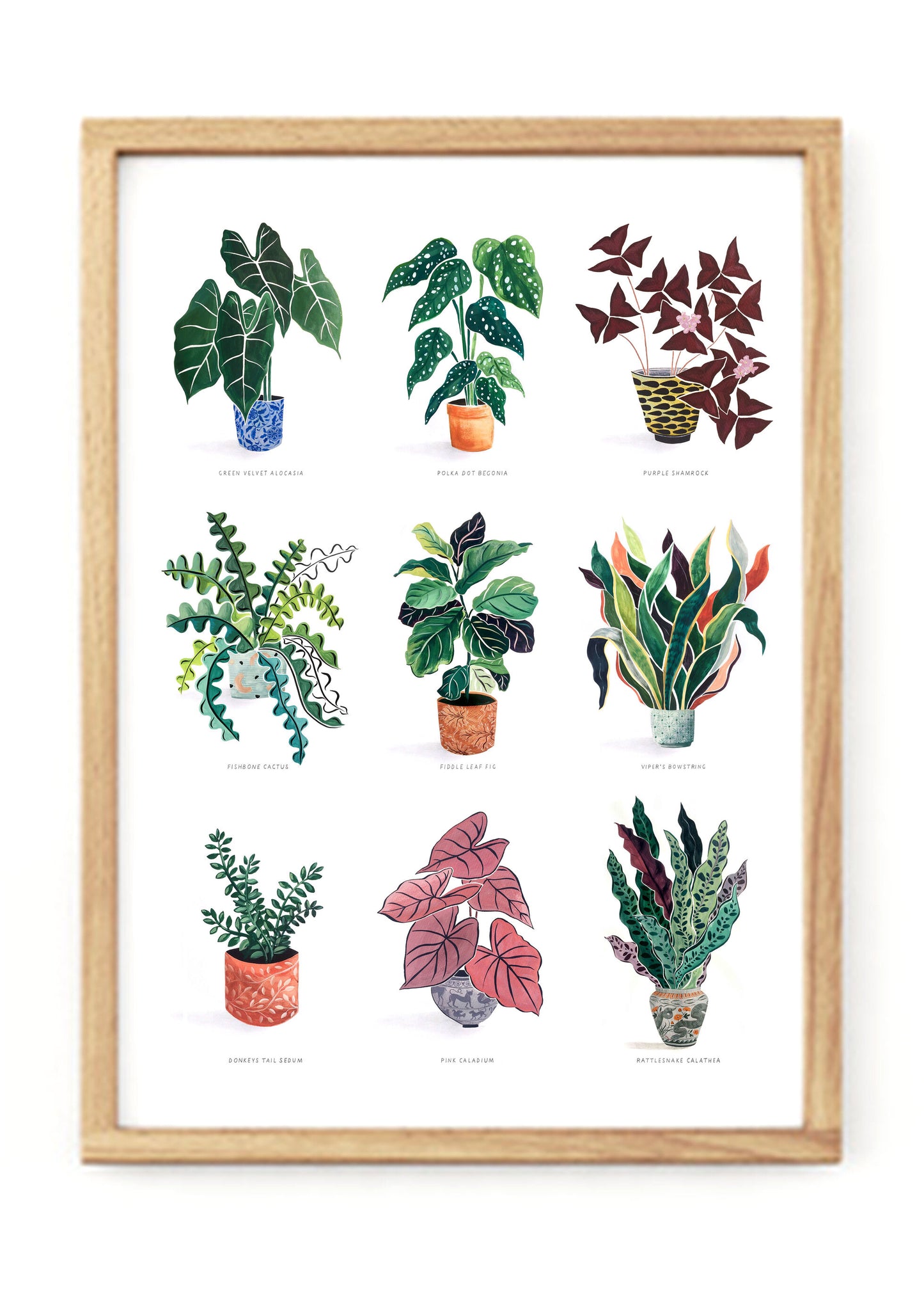 Print Naw Planhigyn - A3/A4