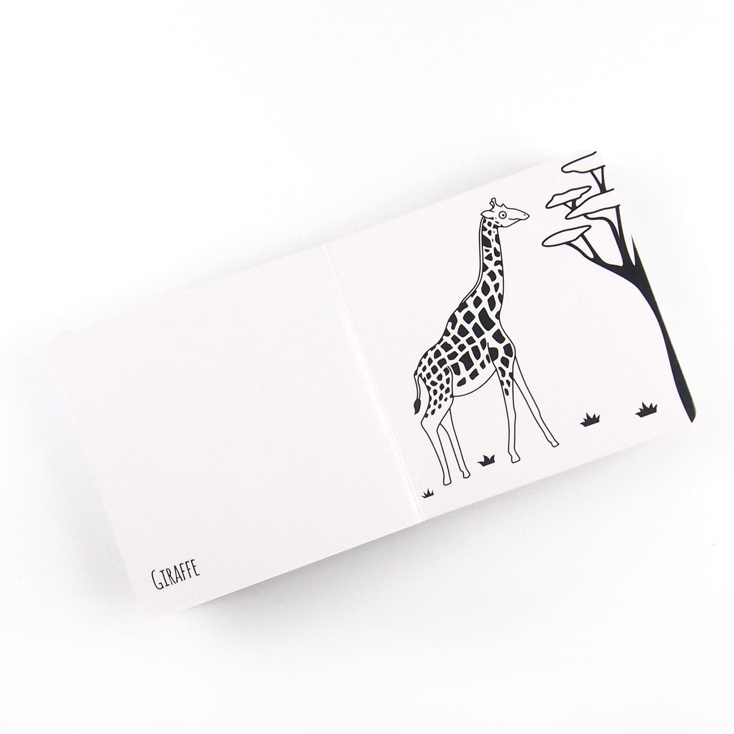 Spectacular Animals of Africa - Baby Book - Loola Loves UK