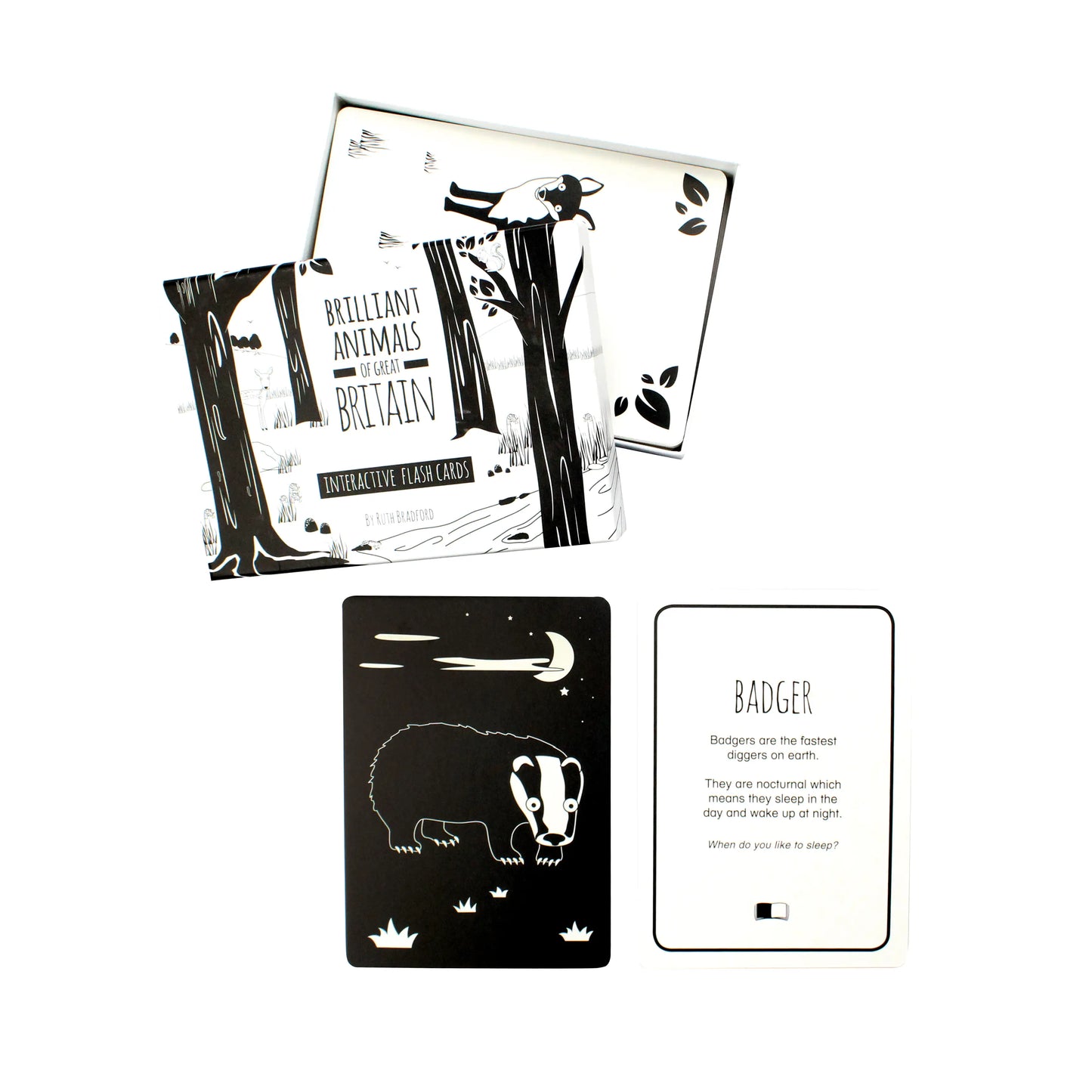 Brilliant Animals of Great Britain - Interactive Flash Cards