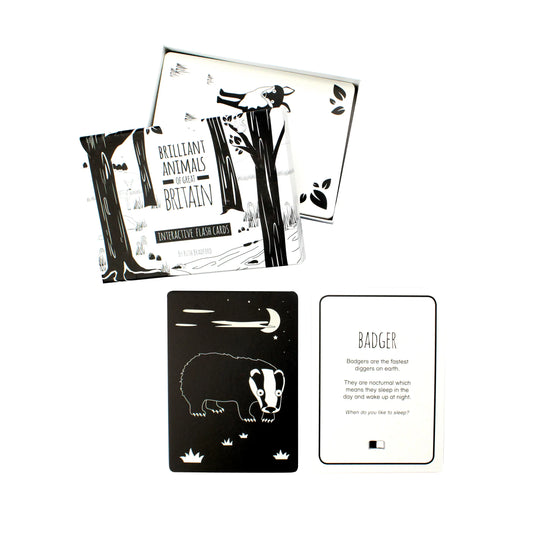 Brilliant Animals of Great Britain - Interactive Flash Cards