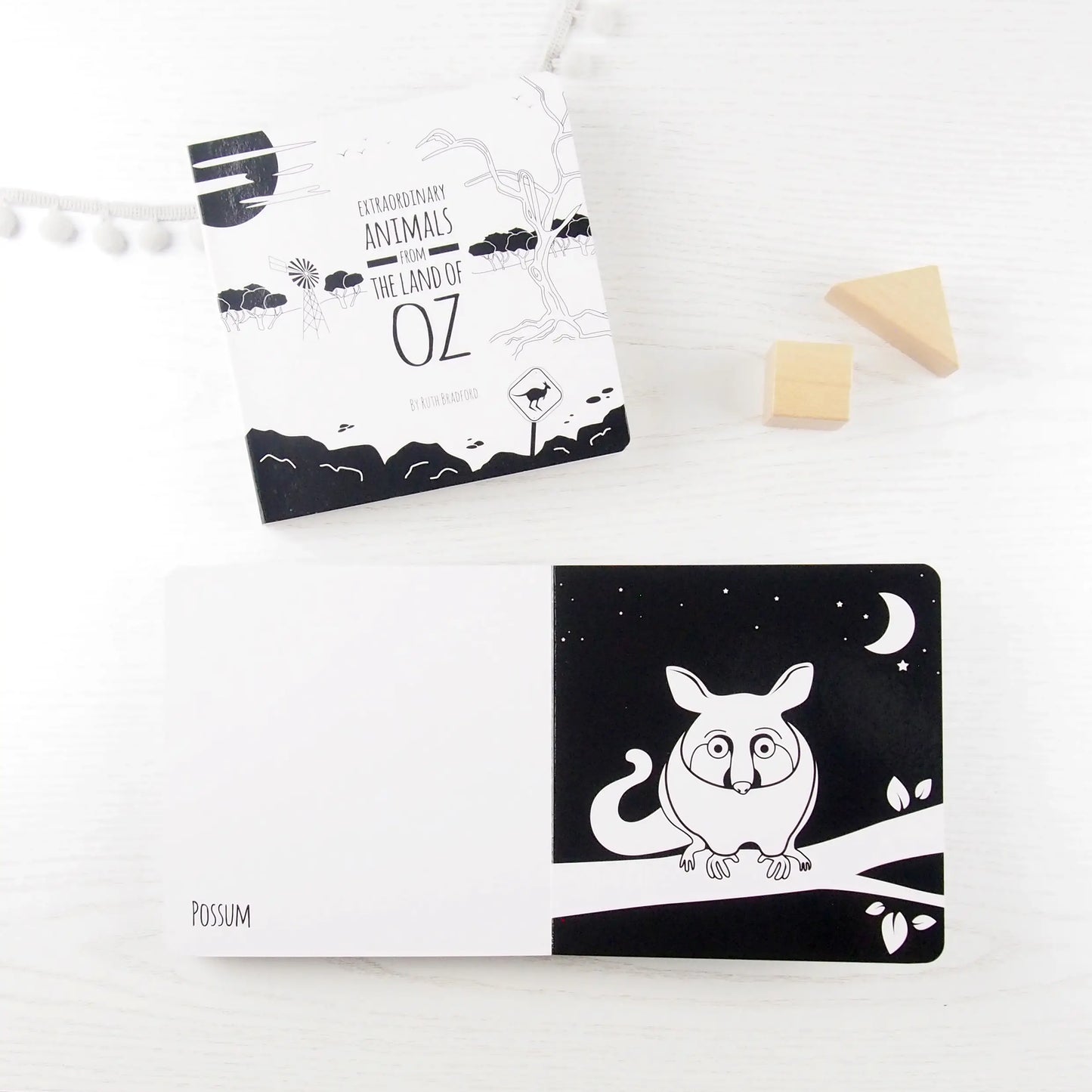 Extraordinary Animals from the Land of Oz - Baby Book