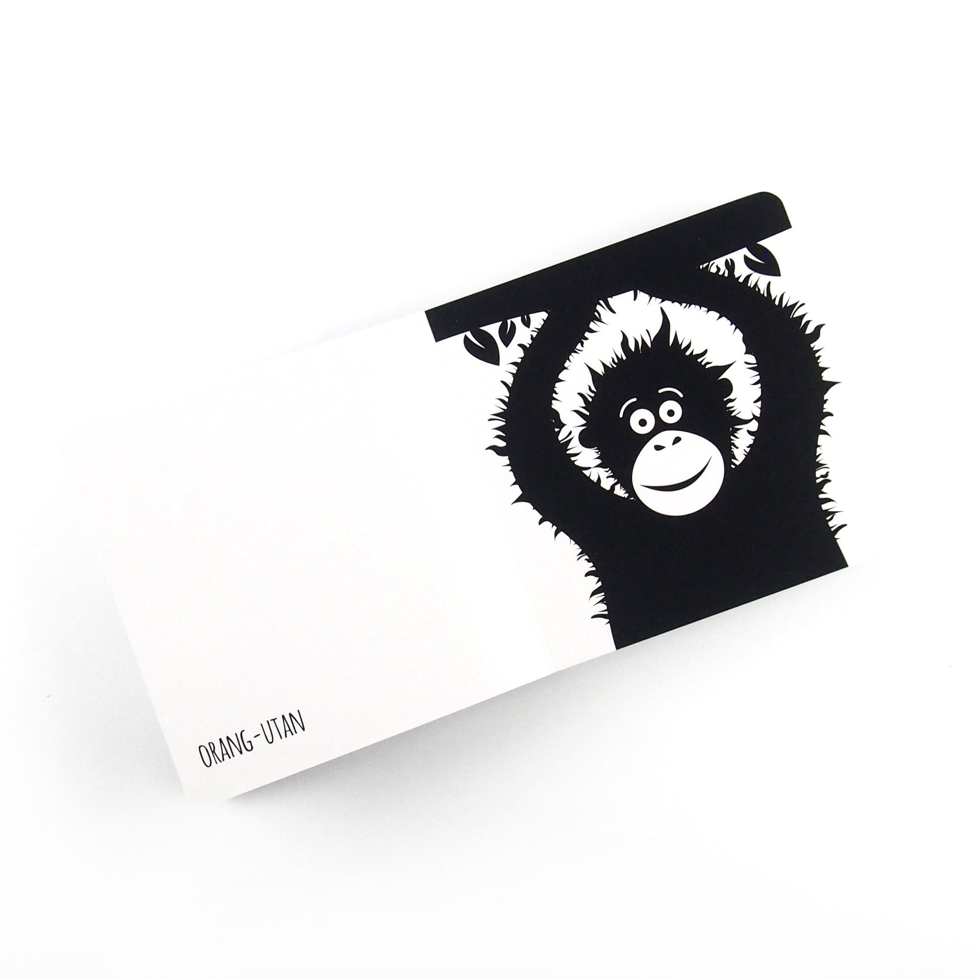 Amazing Animals of South East Asia - Baby Book - Loola Loves UK