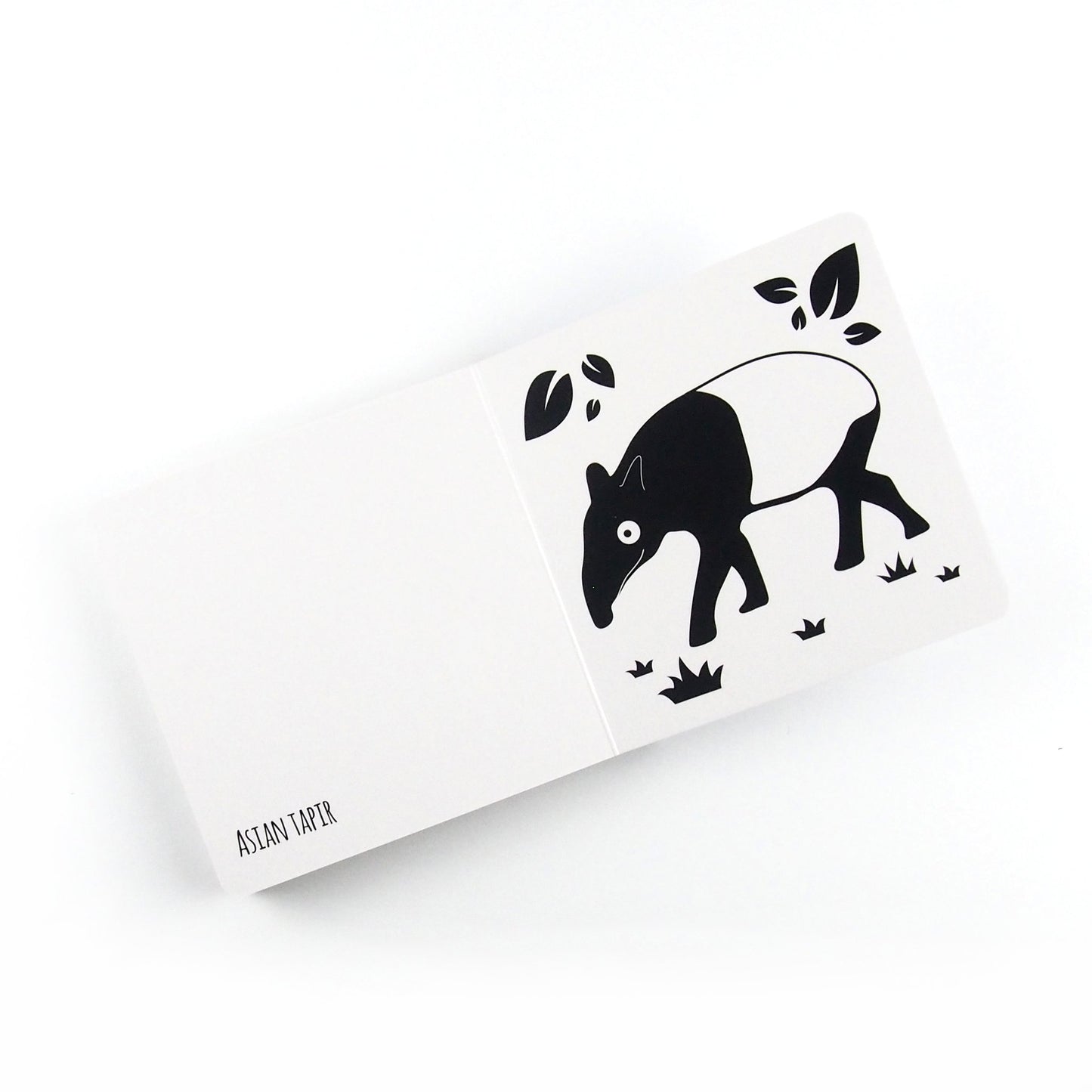 Amazing Animals of South East Asia - Baby Book - Loola Loves UK