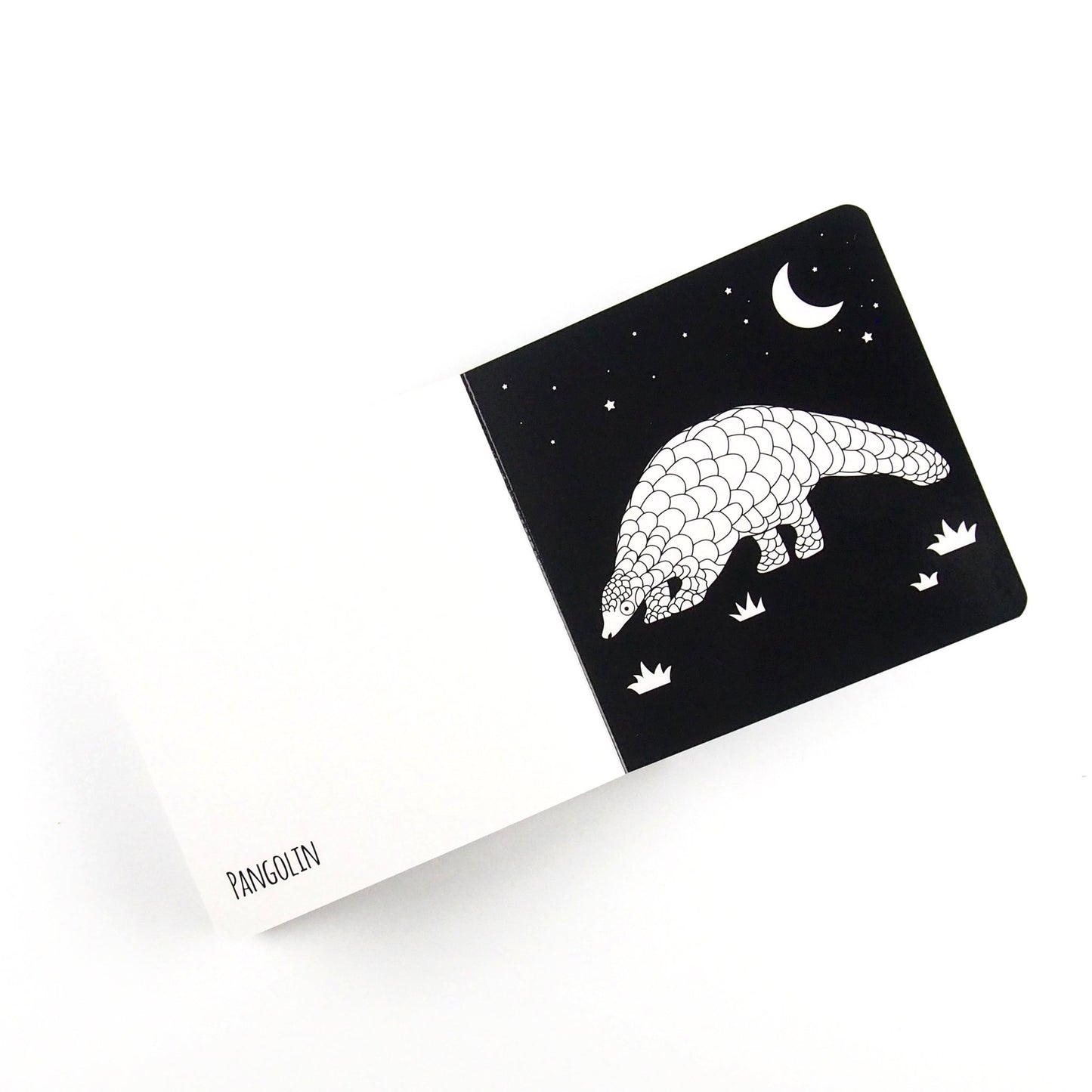 Amazing Animals of South East Asia - Baby Book - Loola Loves UK