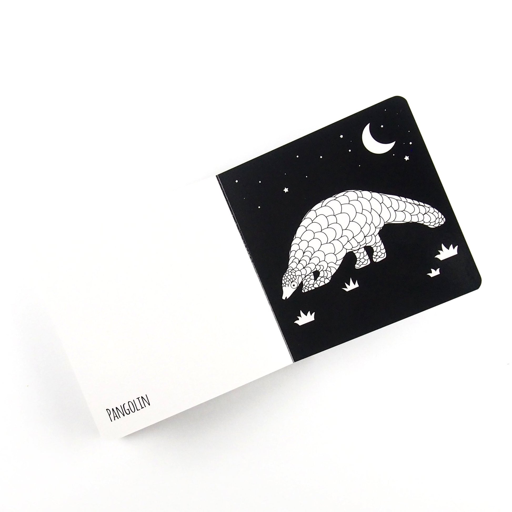 Amazing Animals of South East Asia - Baby Book - Loola Loves UK