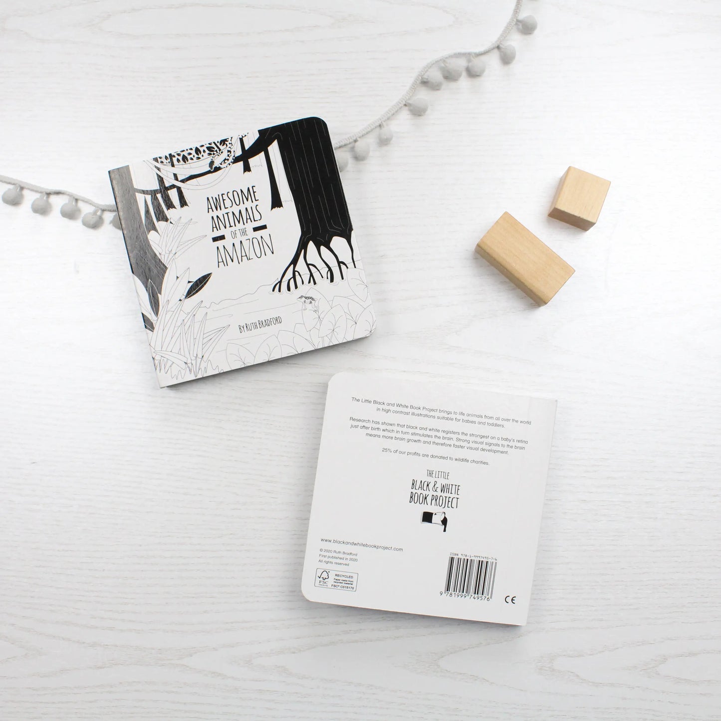 Awesome Animals of the Amazon - Baby Book