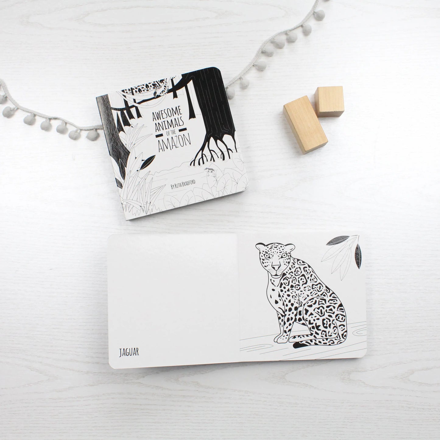 Awesome Animals of the Amazon - Baby Book