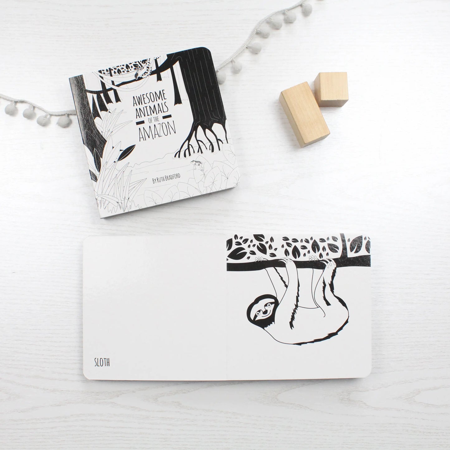 Awesome Animals of the Amazon - Baby Book