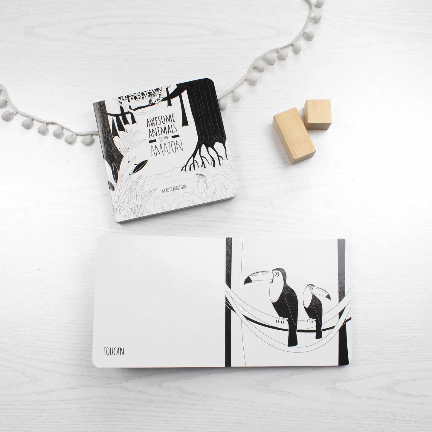 Awesome Animals of the Amazon - Baby Book