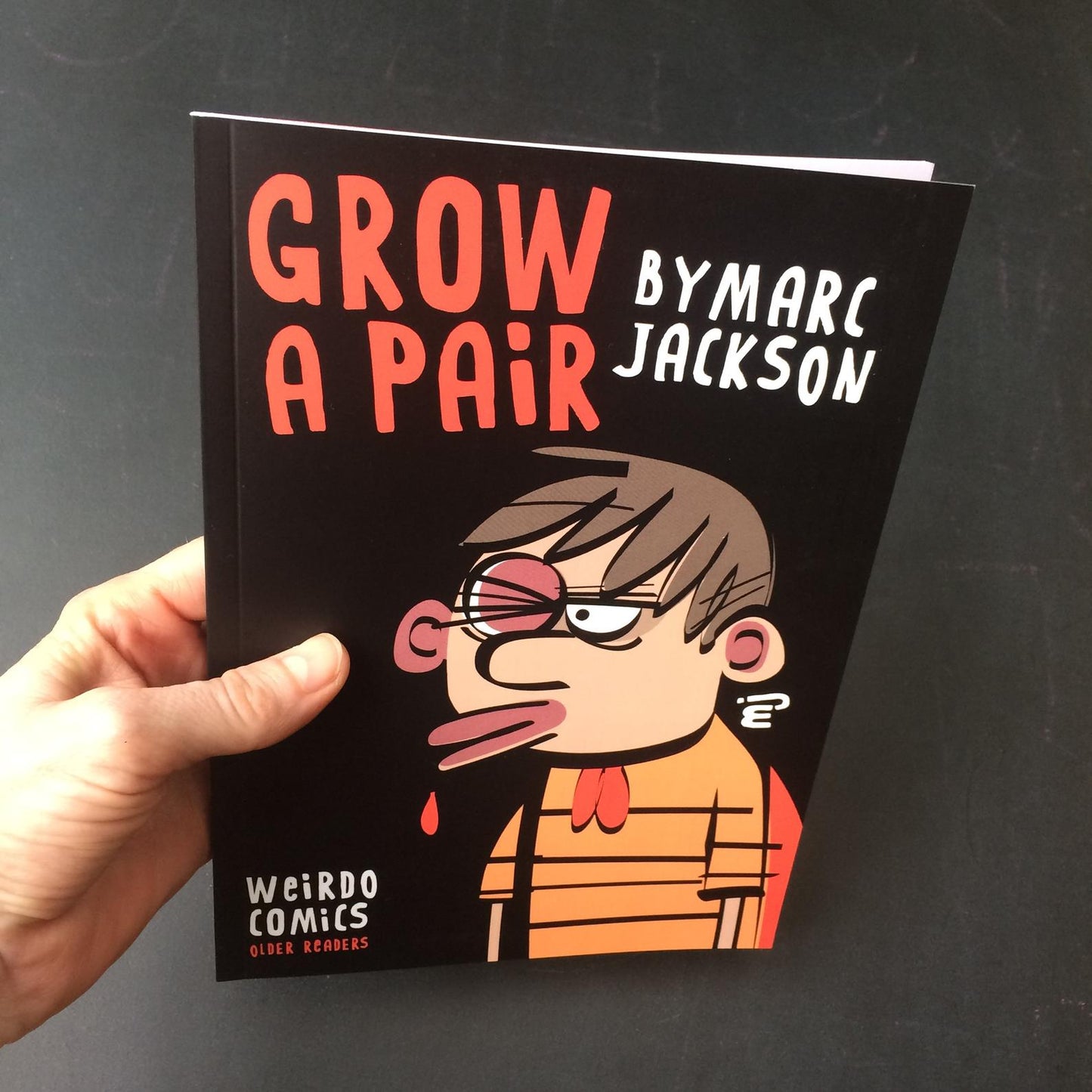 Grow A Pair Comic Book (Suitable for teen+) - Loola Loves UK