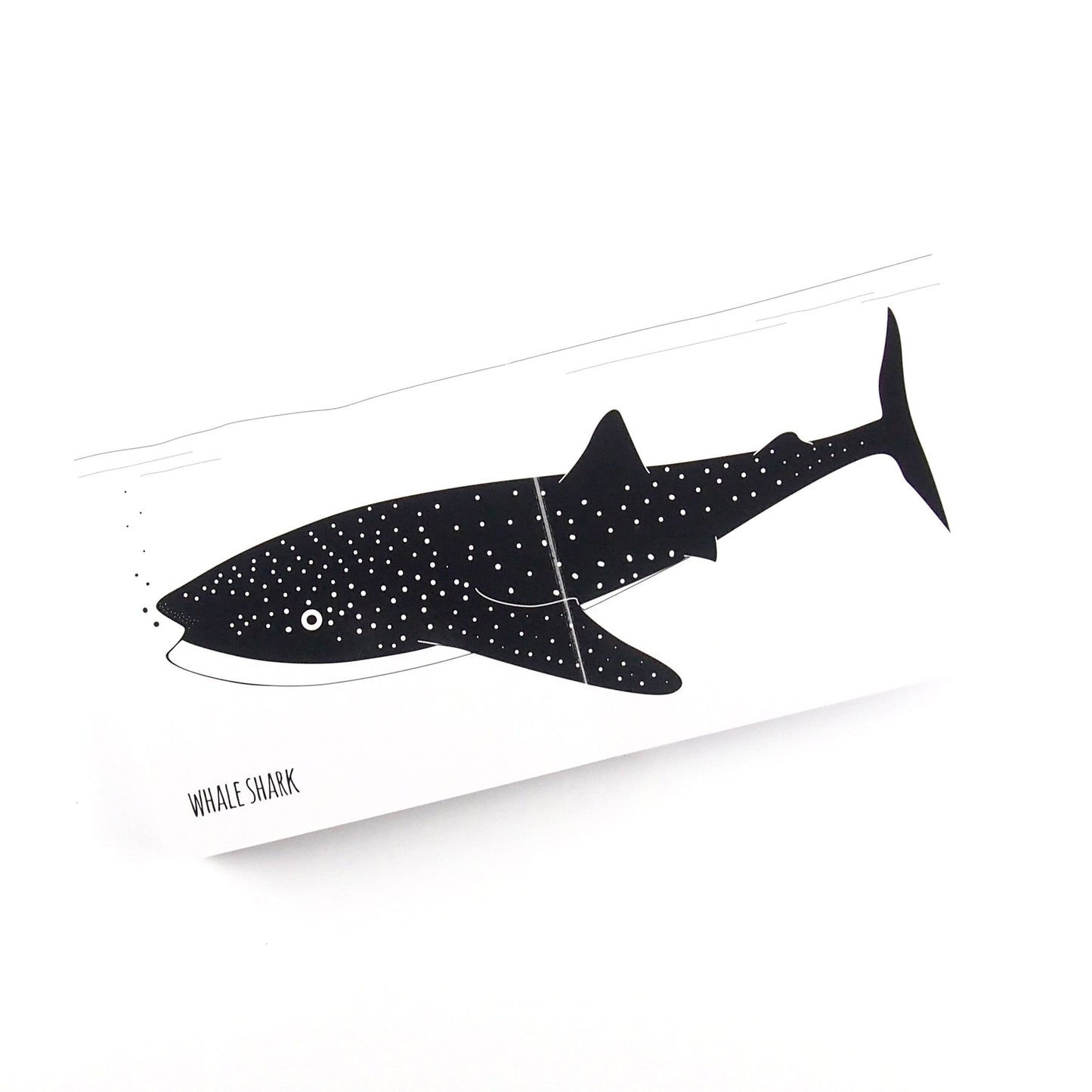 Magnificent Ocean Animals - Baby Book - Loola Loves UK