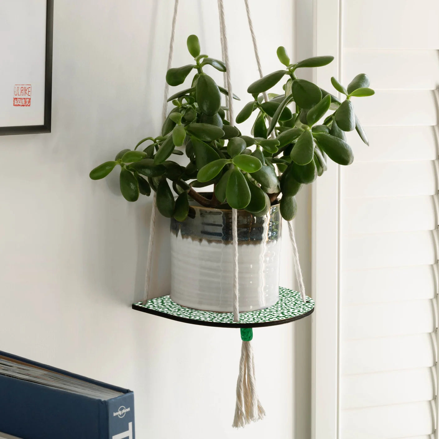 Homeware - Sale