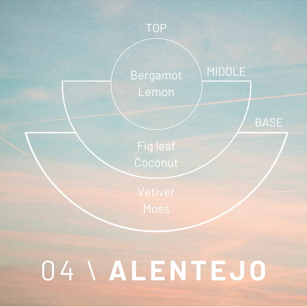 Aromatherapy oil blend diagram with '04 Alentejo' on a gradient background
