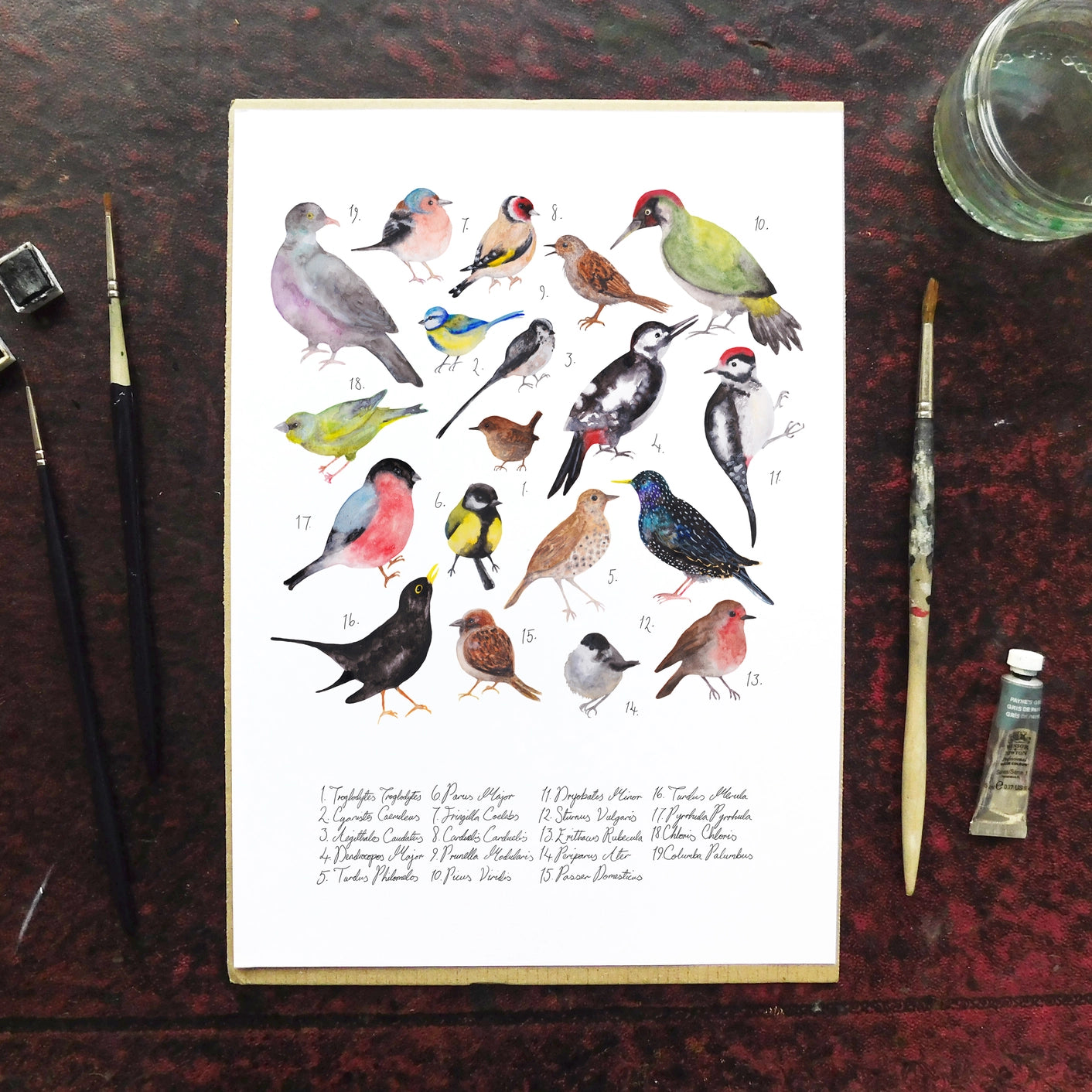 Aves British Garden Birds A4 Art Print