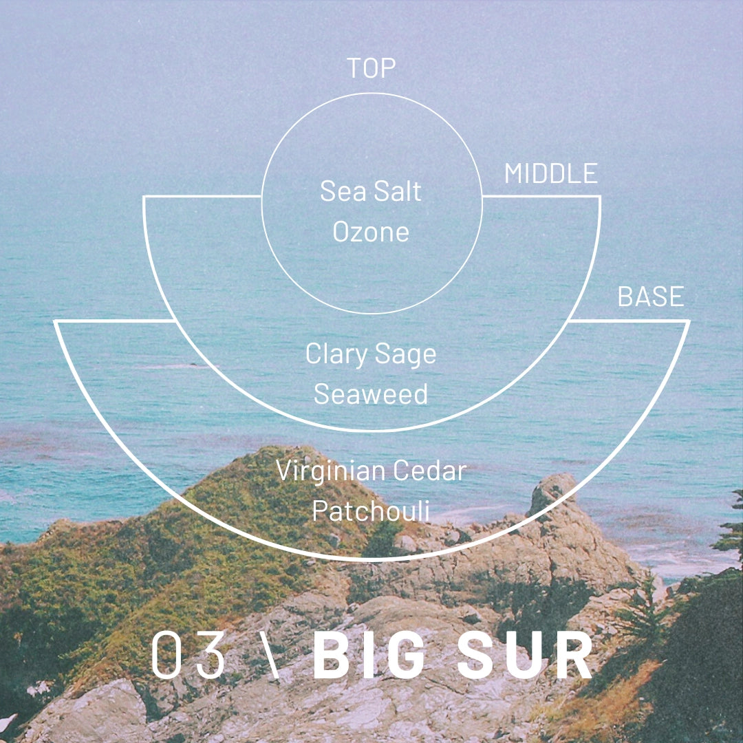 Hillside with ocean view and fragrance layering diagram labeled '03  Big Sur' on a blue gradient background.