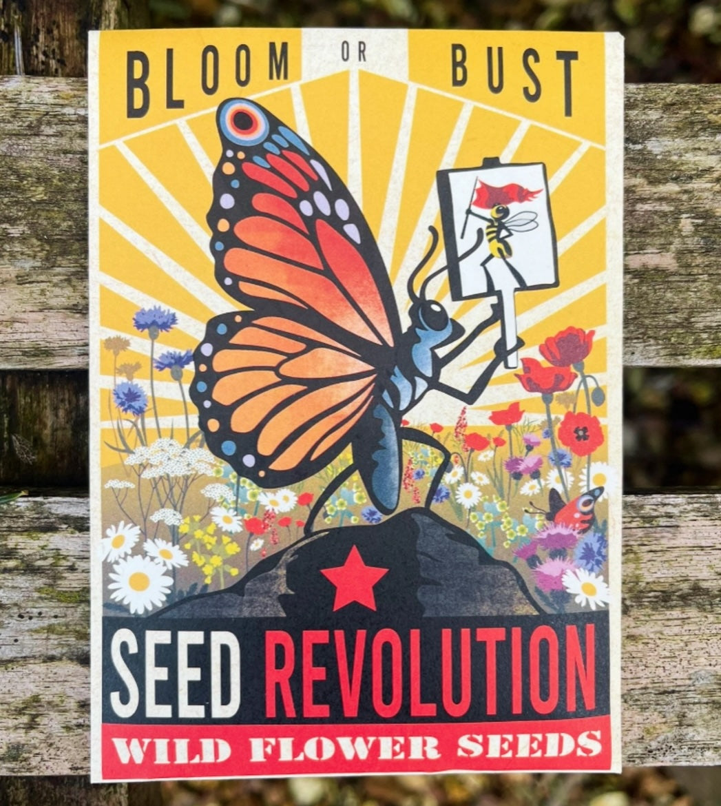 Wildflower Seed Packet - Bloom or Bust - Loola Loves UK