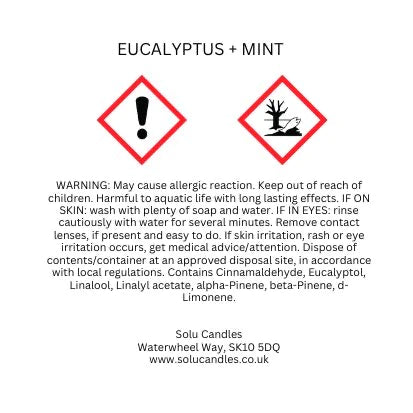 Eucalyptus & Mint Wax Melts - Box of 5
