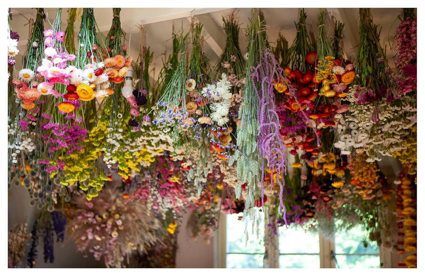 Hanging floral arrangements in various colors and styles.