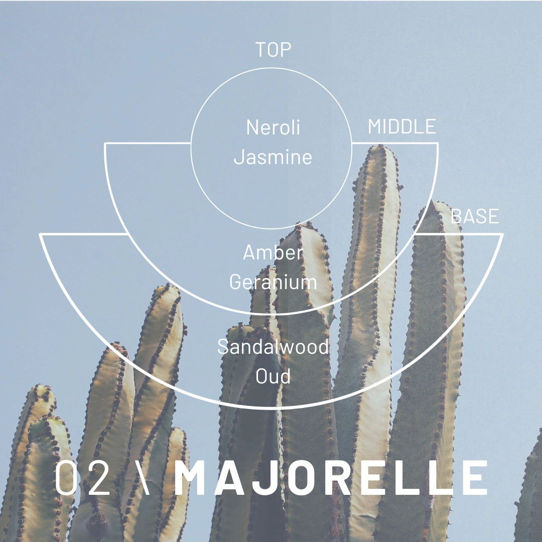 Cactus plant with a fragrance oil diagram labeled '02 Majorelle' on a light blue background