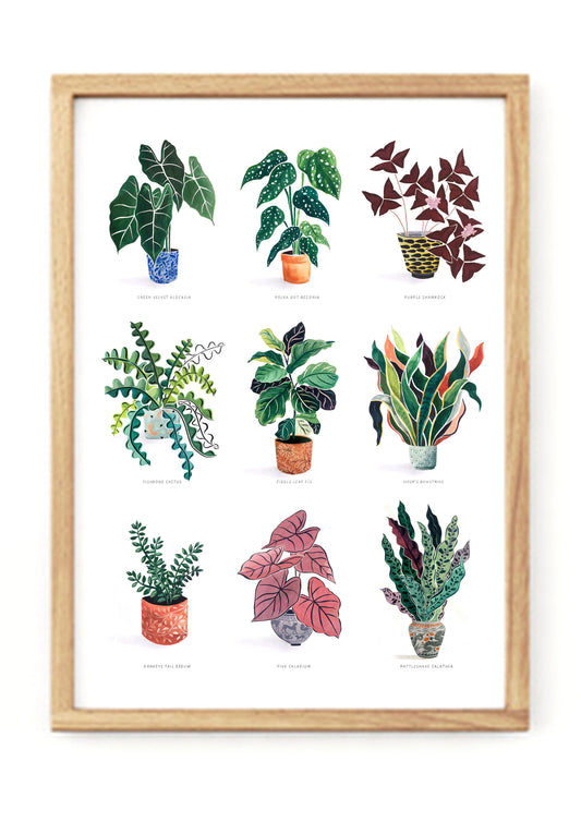 Nine Plants Print - A3 / A4