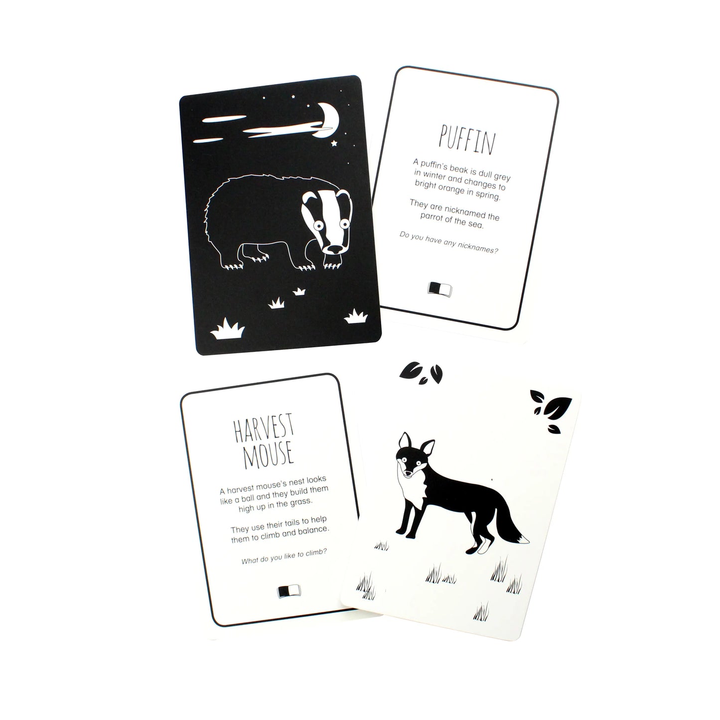 Brilliant Animals of Great Britain - Interactive Flash Cards