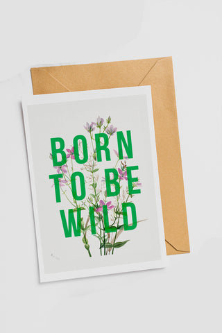 The 13 Prints Collection - Loola Loves Independent Gift Shop – Loola Loves  UK