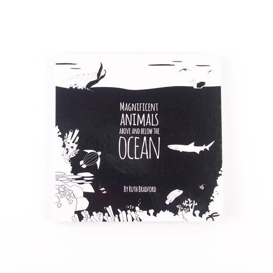 Magnificent Ocean Animals - Baby Book - Loola Loves UK